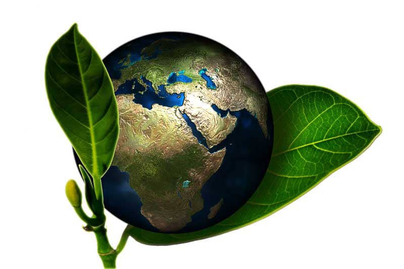 Household Items You Should (Definitely!) Recycle