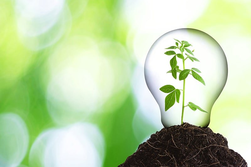 Tips to Turn Your Home Eco-Friendly for Earth Day