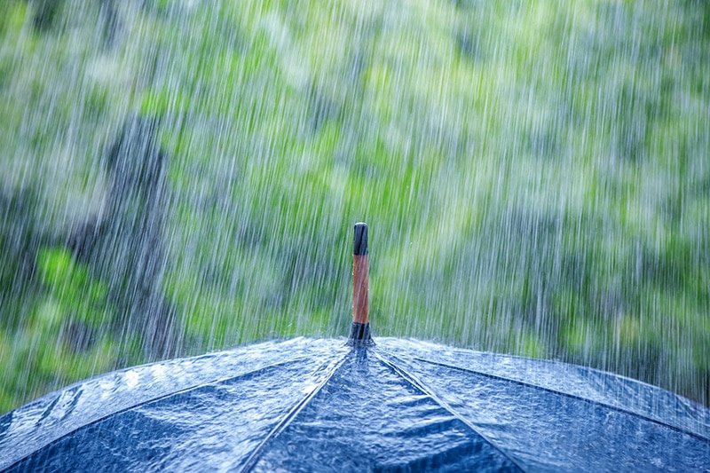 Can a Personal Umbrella Insurance Cover Family Injuries?