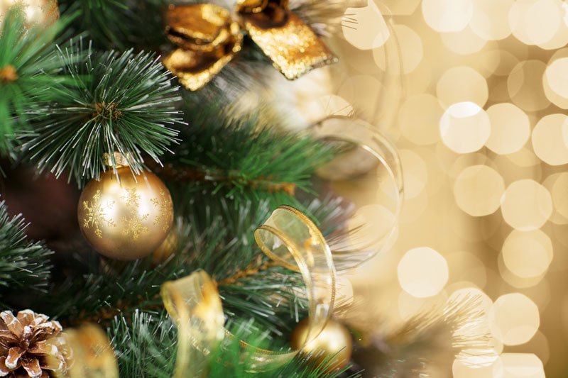 The Claims of the Holidays